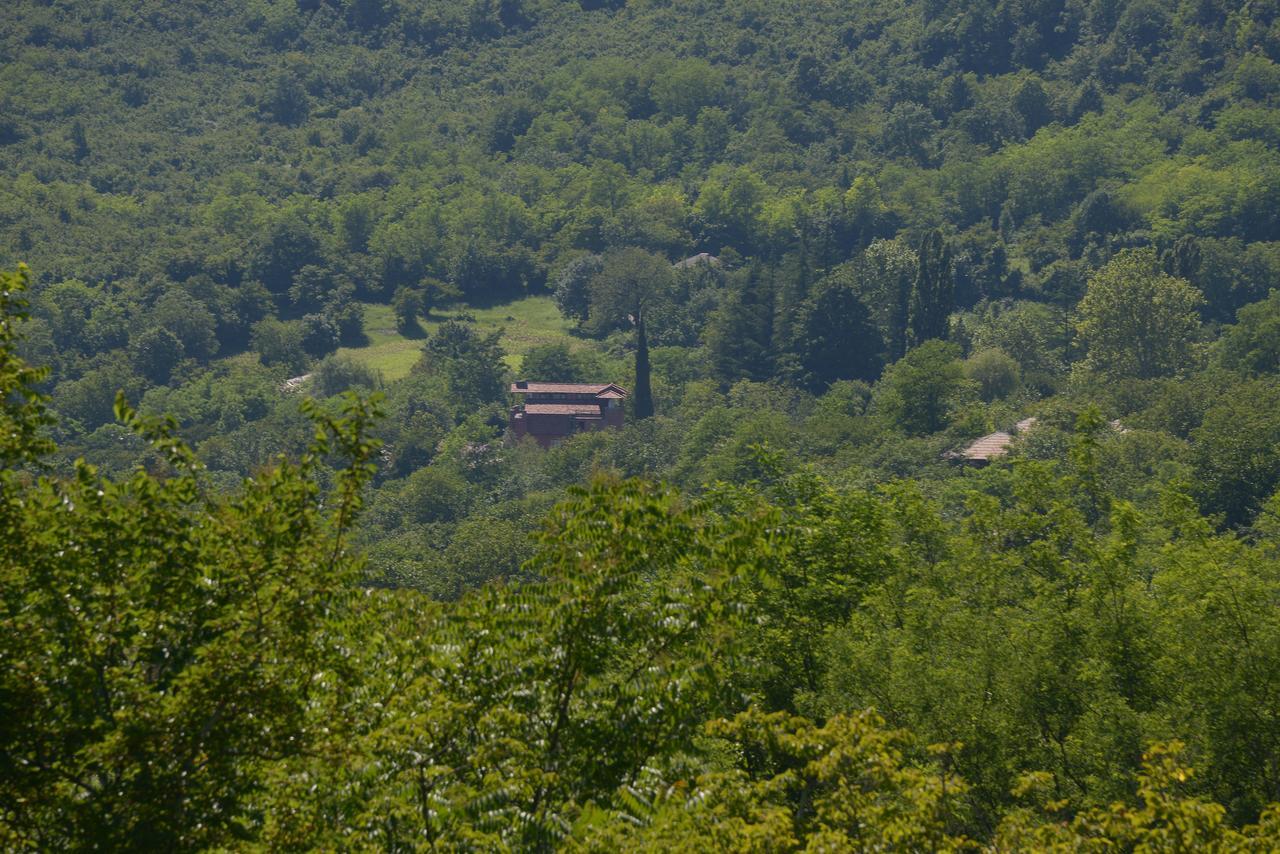 Chateau Chikovani Gordi Exterior foto